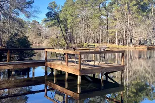 154 Pine Glen, Holly Lake Ranch, TX 75765 - Photo 38