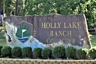 154 Pine Glen, Holly Lake Ranch, TX 75765 - Photo 44