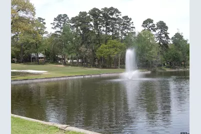 250 Autumn Wood Trail, Holly Lake Ranch, TX 75765 - Photo 24