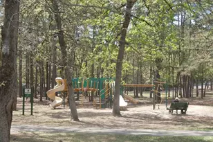 250 Autumn Wood Trail, Holly Lake Ranch, TX 75765 - Photo 30