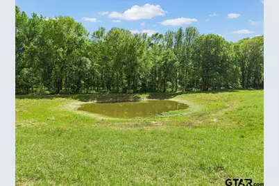 Tbd Vz County Road 4505, Ben Wheeler, TX 75754 - Photo 6