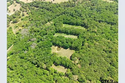 Tbd Vz County Road 4505, Ben Wheeler, TX 75754 - Photo 20