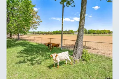 260 Vzcr 3531, Edgewood, TX 75117 - Photo 46