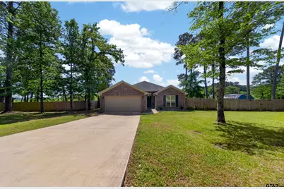 17171 Mary Martin Drive, Flint, TX 75762 - Photo 4