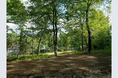 175 North Lake Drive, Murchison, TX 75778 - Photo 8