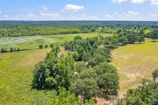 12250 Co Rd 3513, Brownsboro, TX 75756 - Photo 1