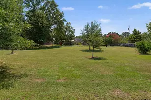 201 Glenda St, Whitehouse, TX 75791 - Photo 46