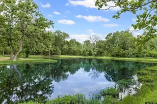 11374 S Texas Hwy 154, Yantis, TX 75497 - Photo 14