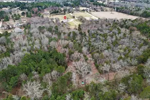 3406 County Rd 415, Tyler, TX 75704 - Photo 40