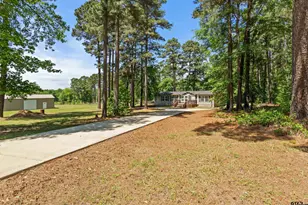 18481 Cr 3186, Winona, TX 75792 - Photo 2