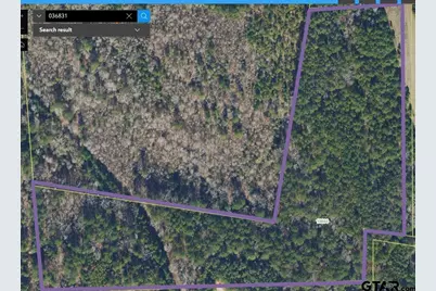 18660 Cr 259, Troup, TX 75789 - Photo 2