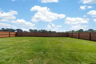 412 Meadows Ln, Chandler, TX 75758 - Photo 30