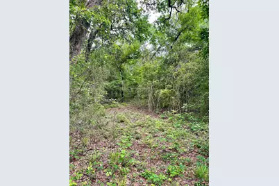 Tbd County Road 1147, Tyler, TX 75704 - Photo 4