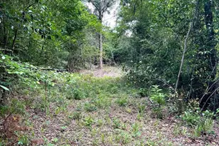 Tbd County Road 1147, Tyler, TX 75704 - Photo 1