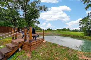 311 Co Rd 2724, Mineola, TX 75773 - Photo 4