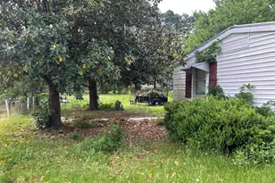 141 Pr 6252, Mineola, TX 75773 - Photo 4