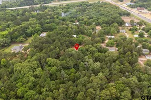 16736 County Rd 4199, Lindale, TX 75771 - Photo 44