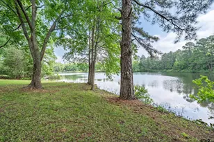 13165 Vicki Lynn Ln, Troup, TX 75789 - Photo 14