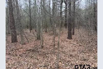 000B County Road 240, Tyler, TX 75705 - Photo 8