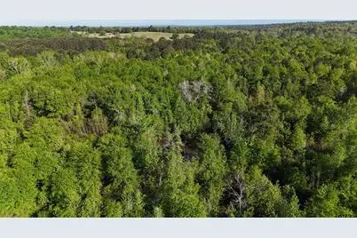 000B County Road 240, Tyler, TX 75705 - Photo 1