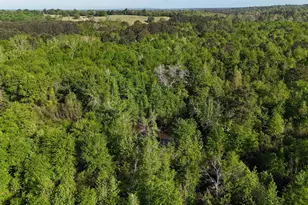000B County Road 240, Tyler, TX 75705 - Photo 1