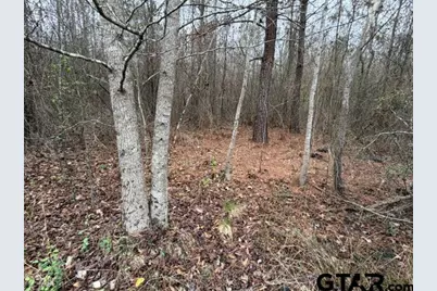000B County Road 240, Tyler, TX 75705 - Photo 6