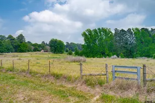 1054 An County Road 415, Palestine, TX 75801 - Photo 28