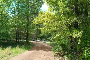 5397 State Hwy 155 N, Gilmer, TX 75645 - Photo 40