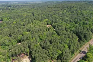 5397 State Hwy 155 N, Gilmer, TX 75645 - Photo 38