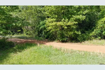 5397 State Hwy 155 N, Gilmer, TX 75645 - Photo 42
