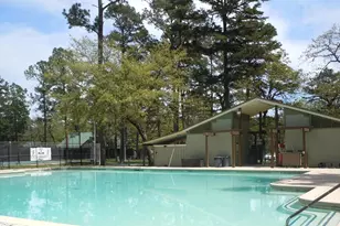 178 Pine Tree, Holly Lake Ranch, TX 75765 - Photo 34