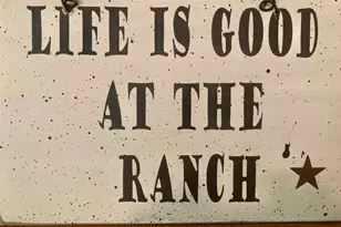 178 Pine Tree, Holly Lake Ranch, TX 75765 - Photo 42