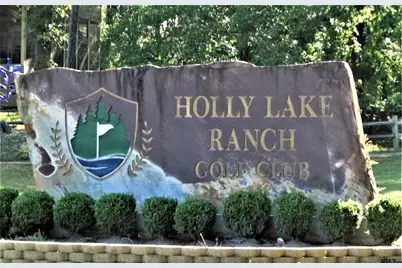 178 Pine Tree Unit B, Holly Lake Ranch, TX 75765 - Photo 30