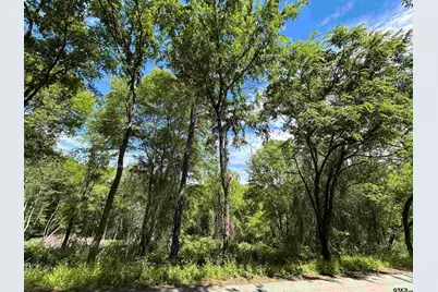 13912 Country Road 1250, Tyler, TX 75709 - Photo 1
