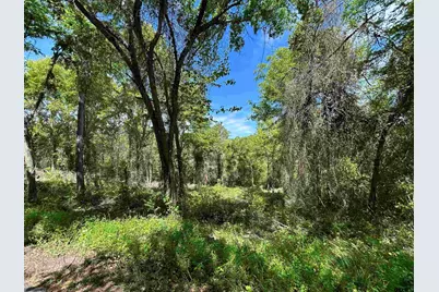 13912 Country Road 1250, Tyler, TX 75709 - Photo 2