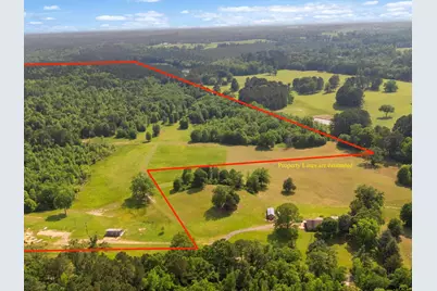 67 Acres S Live Oak Rd, Gilmer, TX 75644 - Photo 4