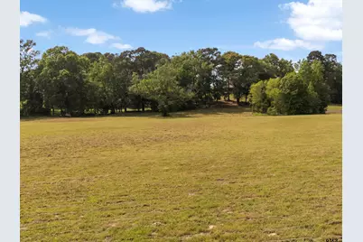 67 Acres S Live Oak Rd, Gilmer, TX 75644 - Photo 1