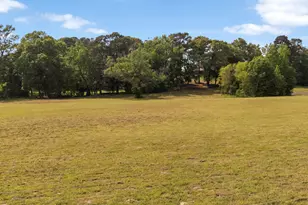 67 Acres S Live Oak Rd, Gilmer, TX 75644 - Photo 1