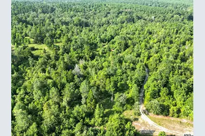 67 Acres S Live Oak Rd, Gilmer, TX 75644 - Photo 16