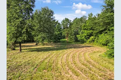 67 Acres S Live Oak Rd, Gilmer, TX 75644 - Photo 10