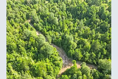 67 Acres S Live Oak Rd, Gilmer, TX 75644 - Photo 18