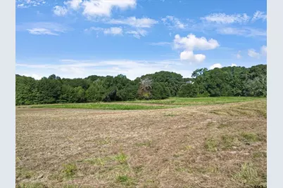 67 Acres S Live Oak Rd, Gilmer, TX 75644 - Photo 8