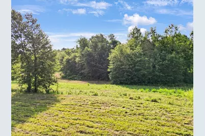 67 Acres S Live Oak Rd, Gilmer, TX 75644 - Photo 12