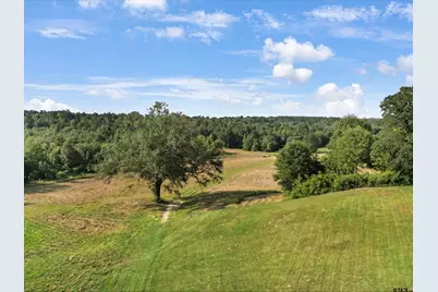 67 Acres S Live Oak Rd, Gilmer, TX 75644 - Photo 14