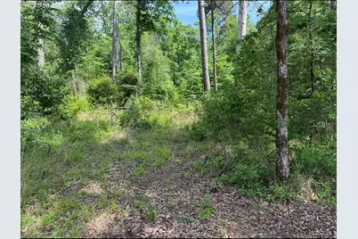 Tbd Cr 1804, Rusk, TX 75785 - Photo 2
