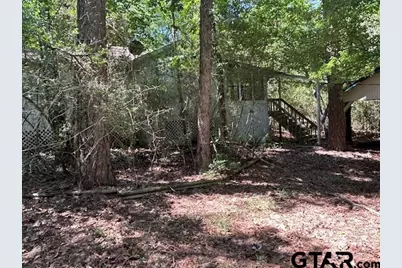 173 Bluewing Rdg, Holly Lake Ranch, TX 75765 - Photo 4
