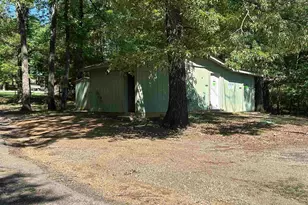 71 Pr 52436, Pittsburg, TX 75686 - Photo 38