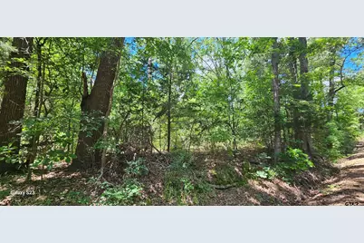 Tbd Cr 2290, Mineola, TX 75773 - Photo 4
