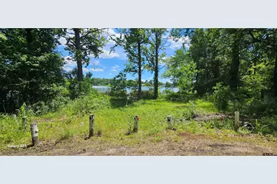 Tbd Cr 2290, Mineola, TX 75773 - Photo 1