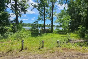 Tbd Cr 2290, Mineola, TX 75773 - Photo 1